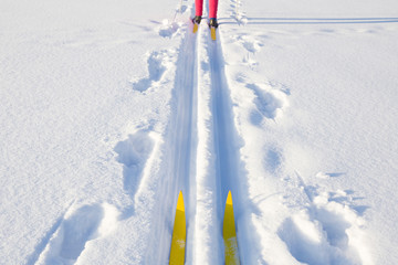 Skiers skiing behind each other on track in fresh, white snow in winter day. Classic cross country...