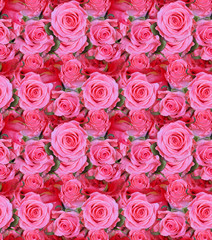 Obraz na płótnie Canvas light pink roses seamless background