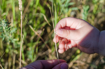 hands of mom and baby