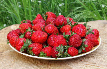Still life with strawberries in the country