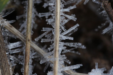 Makro Aufnahme vom Eis