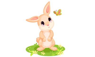 Cute rabbit with butterfly cartoon