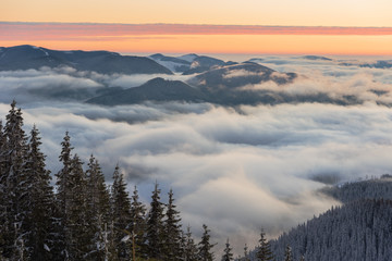 Landscape with the winter sunrise, in the Ukrainian Carpathian Mountains, with fogs, beautiful colors and a sunny moon.