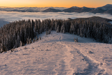 Landscape with the winter sunrise, in the Ukrainian Carpathian Mountains, with fogs, beautiful colors and a sunny moon.