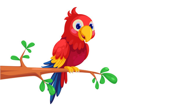 Cartoon Parrot Images – Browse 45,786 Stock Photos, Vectors, and Video |  Adobe Stock