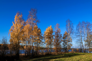 Fototapeta premium The shore of the lake Smardie. The reflection in the water