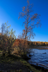 Naklejka premium The shore of the lake Smardie. The reflection in the water