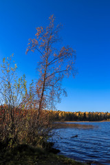  The shore of the lake Smardie. The reflection in the water