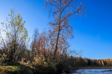  The shore of the lake Smardie. The reflection in the water