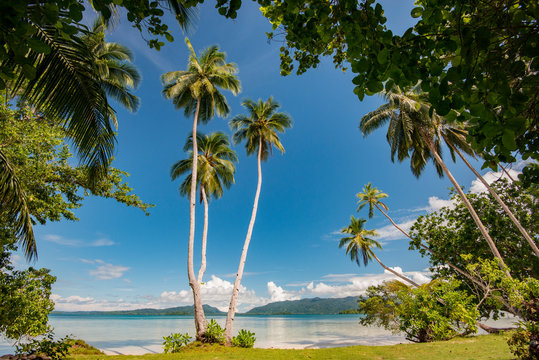 Tropical beach Uepi island © Ron van der Stappen
