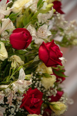 rosas vermelhas