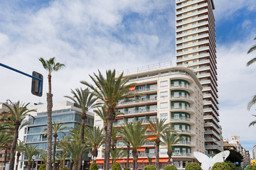Modern residential block buildings behind traditional local breed of palm trees in the center of Alicante, Spain.  