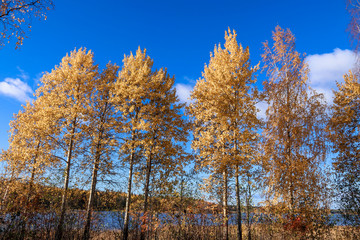 Fototapeta premium The shore of the lake Smardie. The reflection in the water