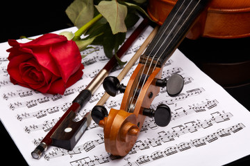 Violin, rose and notes.