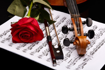 Violin, rose and notes.