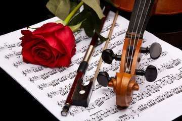 Violin, rose and notes.