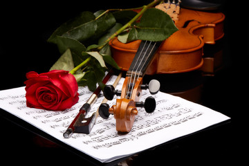 Violin, rose and notes.