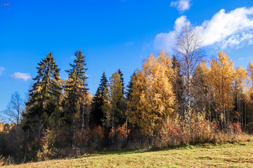  The shore of the lake Smardie. The reflection in the water