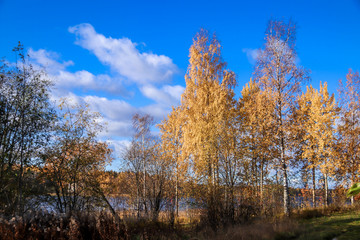  The shore of the lake Smardie. The reflection in the water