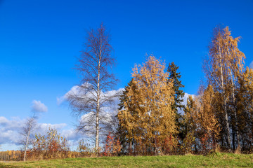  The shore of the lake Smardie. The reflection in the water