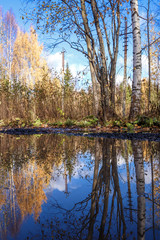  The shore of the lake Smardie. The reflection in the water