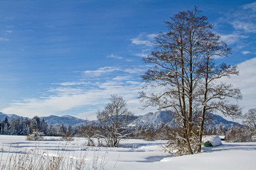 Winter im Isarwinkel