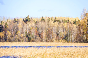  The shore of the lake Smardie. The reflection in the water