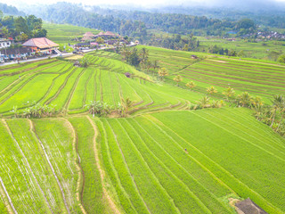 Fototapeta na wymiar Paddy hill with aerial view at Jatiluweh, Bali, Indonesia.