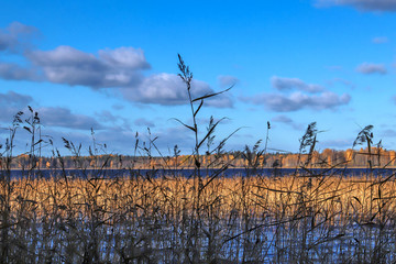 Obraz premium The shore of the lake Smardie. The reflection in the water