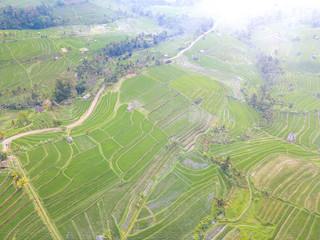 Paddy hill with aerial view at Jatiluweh, Bali, Indonesia.