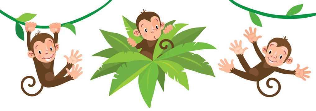 Little funny monkeys on lians. Illustrations set