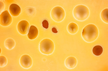 yellow delicious cheese texture