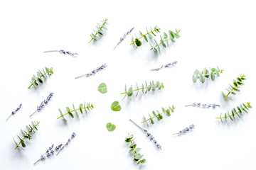 Spring pattern with macaroons and eucalyptus on white background top view