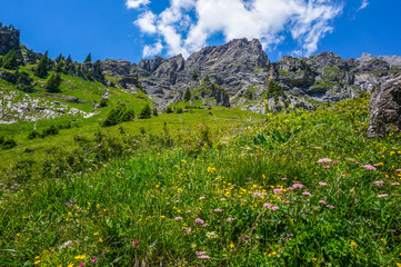 Fototapeta na wymiar Hiking in the Swiss mountains