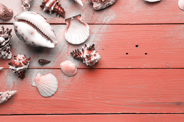 Fototapeta na wymiar Marine summer postcard. Seashells on coral wooden boards in the sand on the beach