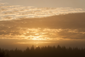 Early foggy morning sunrise above forest landscape