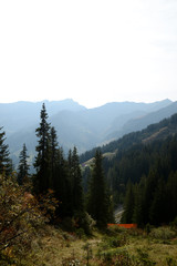 Allgäuer Alpen - Blick vom Walmendinger Horn 