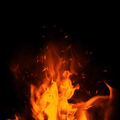 Fototapeta premium Texture of burn fire with particles embers. Flames on isolated black background.
