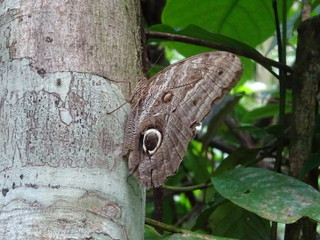 Ecuador 2018