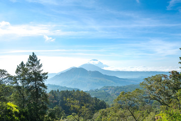 Fototapeta premium Aerial view of farmland with Agong mount backgroung at Bali, Indonesia.