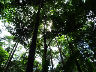 Ecuador 2018