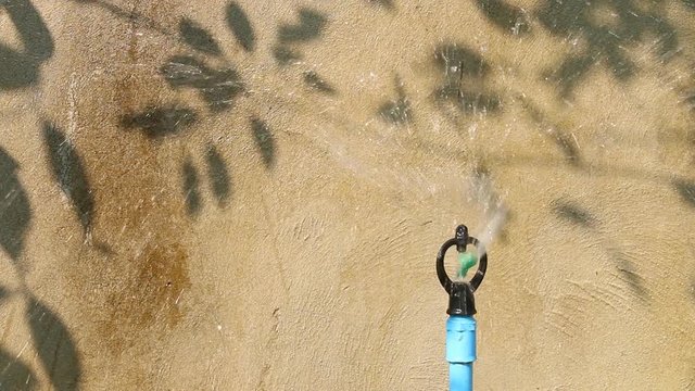 springer  spraying water with  leaves shadow background
