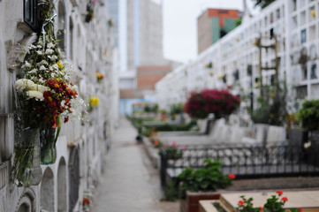 Flowers on a graveyard in Lima, Peru