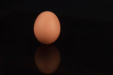 chicken egg on a dark background