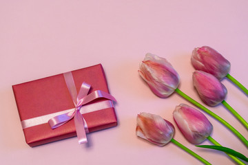 Pink fresh tulips and gift boxes on pastel paper background. Beautiful spring floral mock up. Greeting card for valentine's, women's or mother's day. Flat lay, top view, copy space
