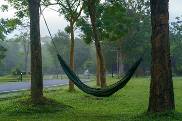 Hammock for relaxation in garden.