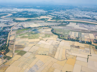 Obraz premium Paddy field with aerial view.