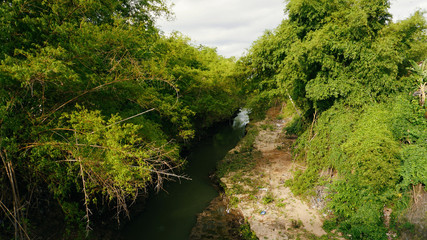 Obraz premium river in the forest