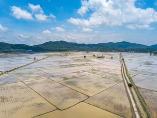 Paddy field with aerial view.