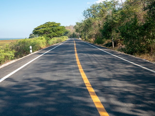 the road to in the wild